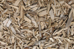 biomass boilers Halmyre Mains